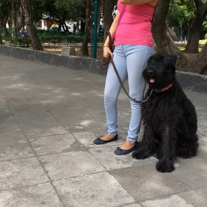 Foto de perfil de Cecilia H.